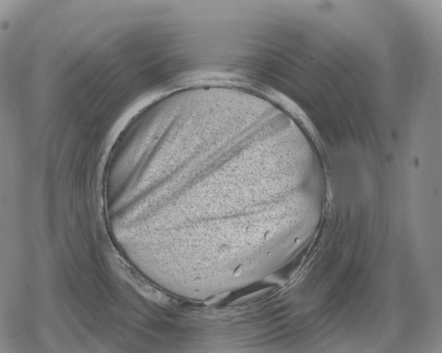 X0000079581435200612221419