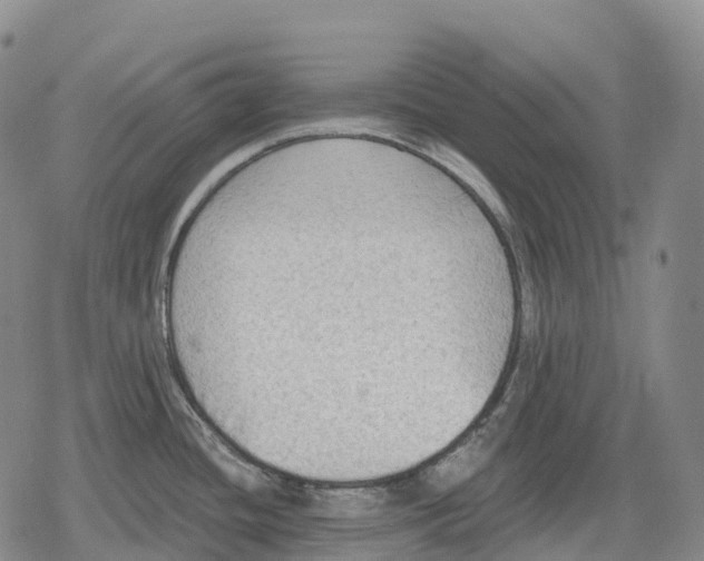 X0000079581436200612221419