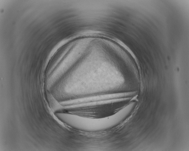 X0000079581437200612221419