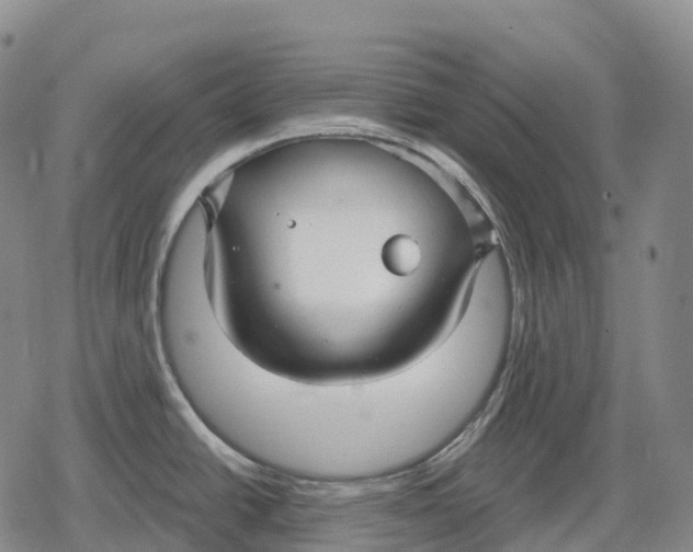 X0000079581438200612221419