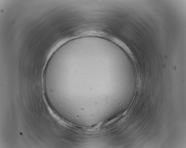 X0000079581439200612221419