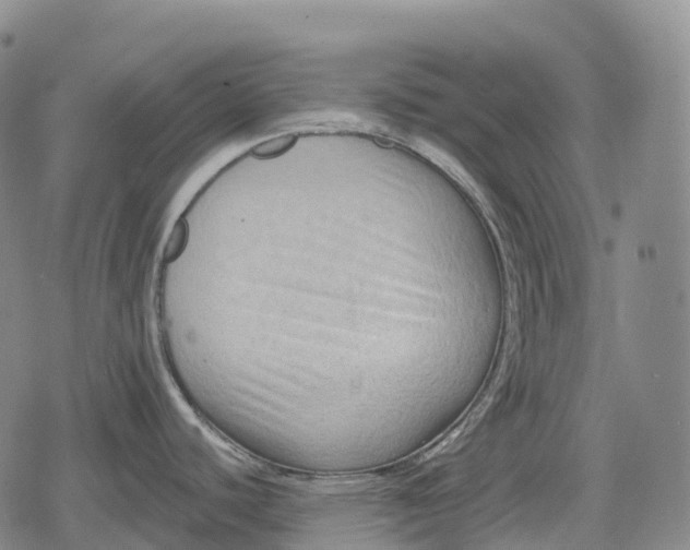 X0000079581440200612221419