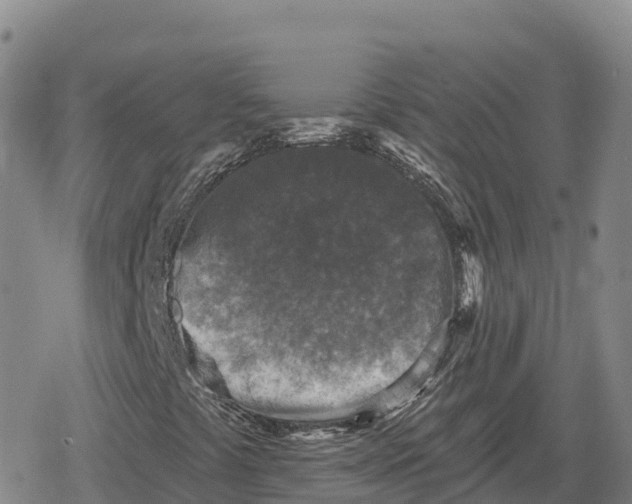 X0000079581441200612221419