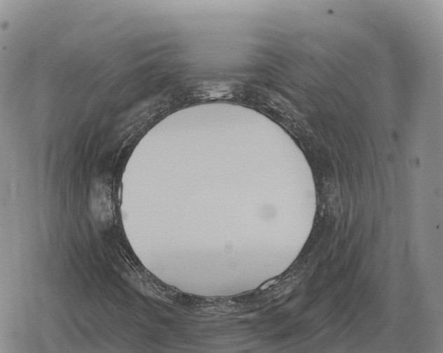 X0000079581442200612221419