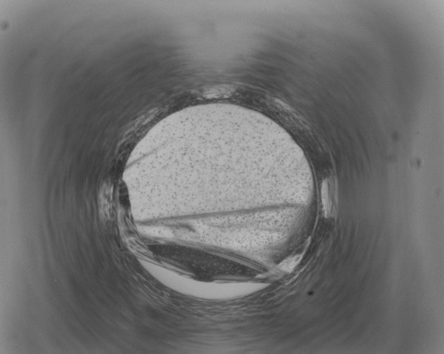 X0000079581443200612221419