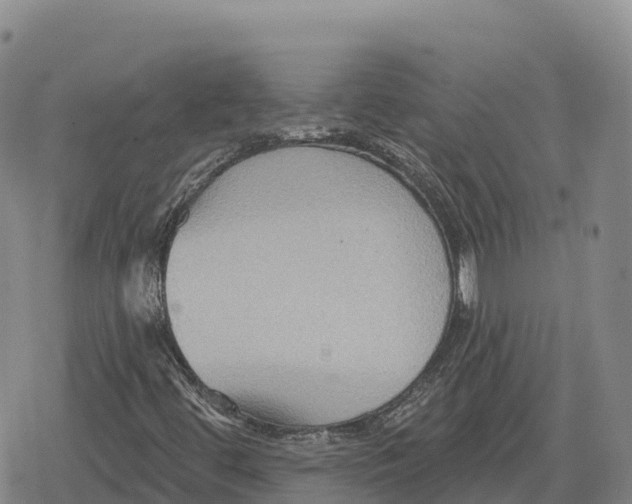 X0000079581444200612221419