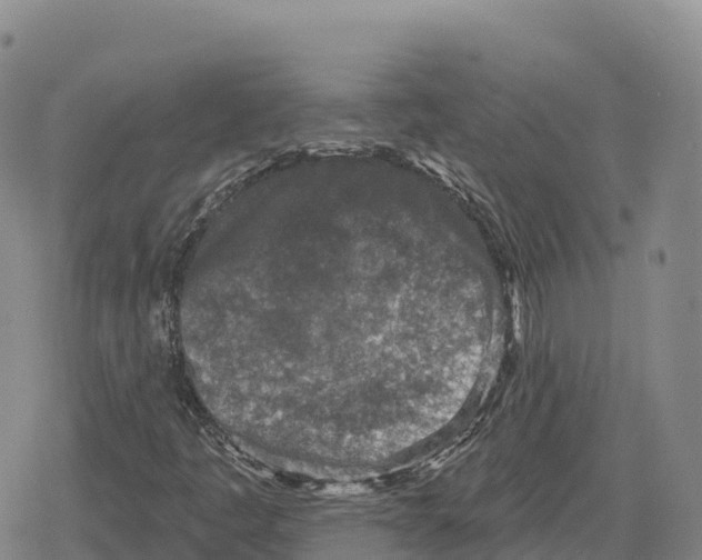 X0000079581445200612221419