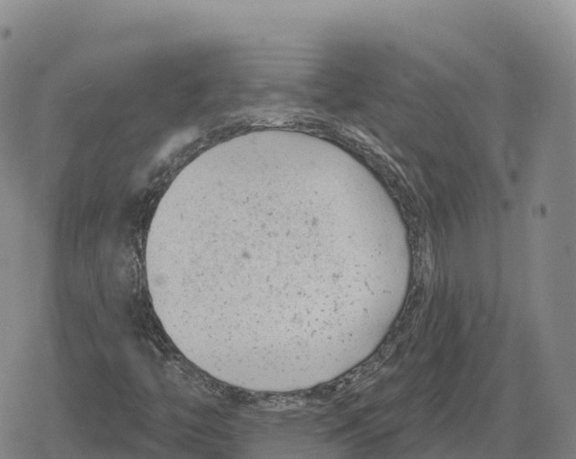 X0000079581446200612221419