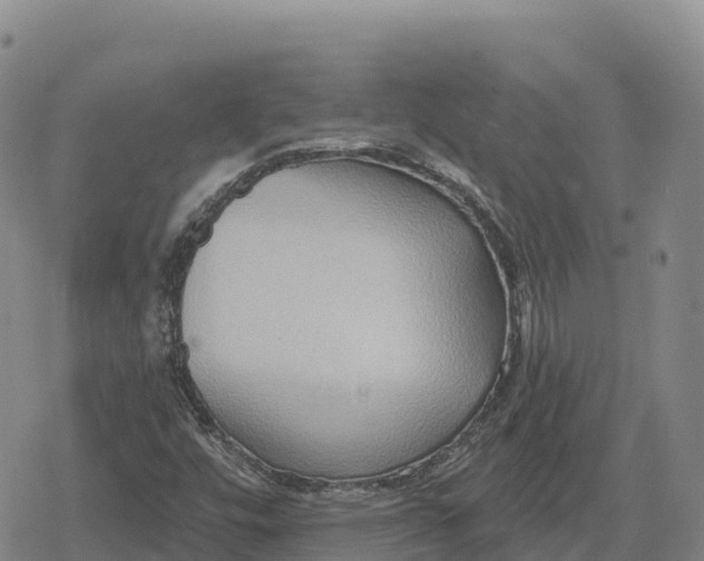 X0000079581448200612221419