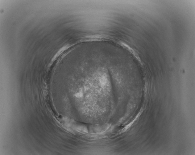 X0000079581449200612221419