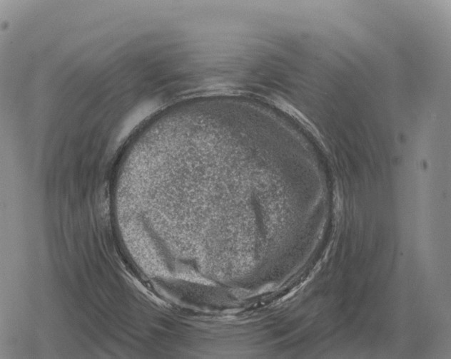 X0000079581450200612221418