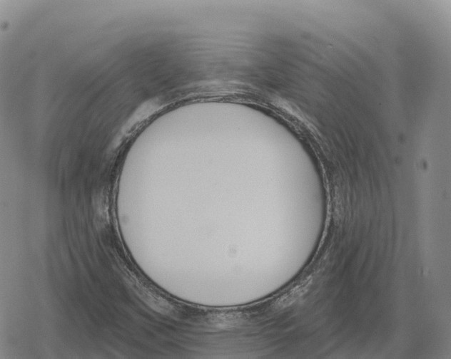 X0000079581451200612221418