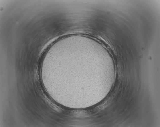 X0000079581452200612221418