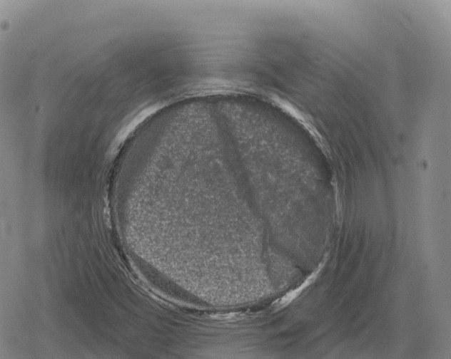 X0000079581453200612221418