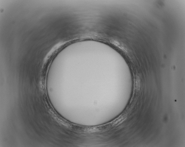 X0000079581454200612221418