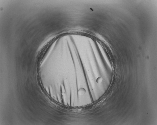 X0000079581456200612221418