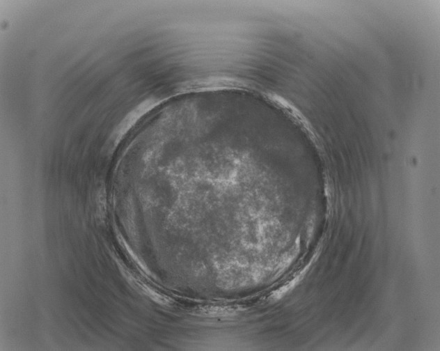 X0000079581457200612221418