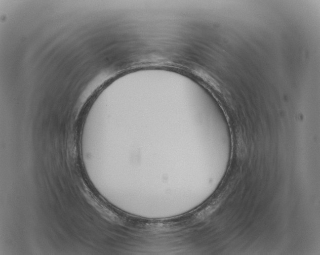 X0000079581458200612221418