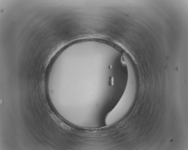 X0000079581460200612221418