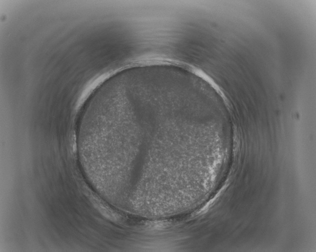 X0000079581461200612221418