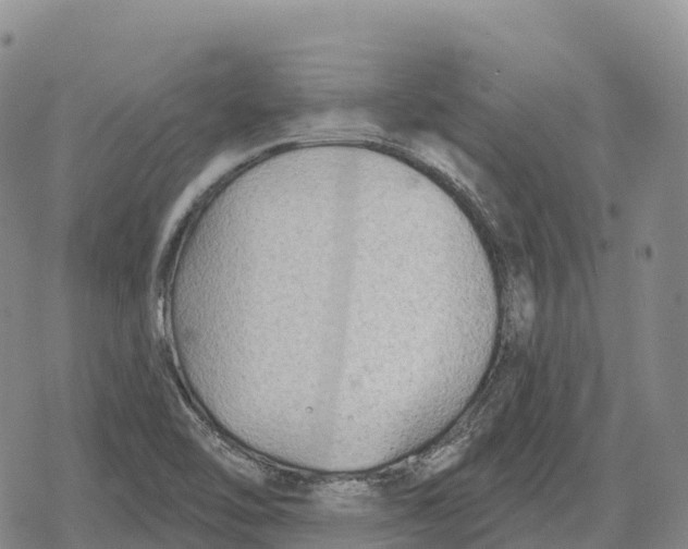 X0000079581462200612221418