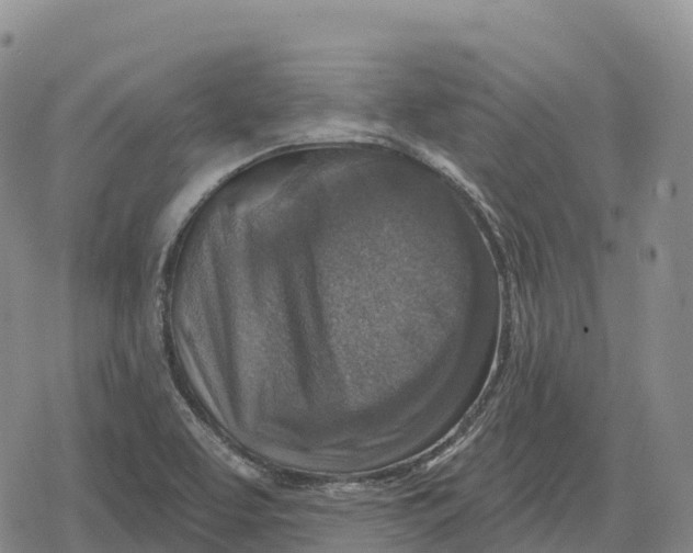 X0000079581463200612221418