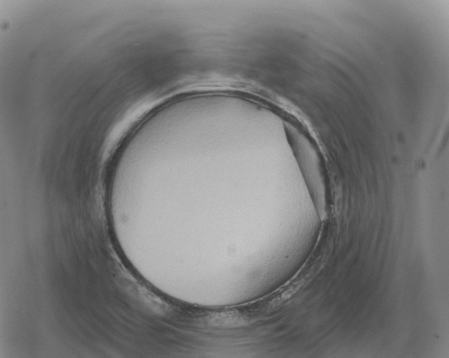 X0000079581464200612221418