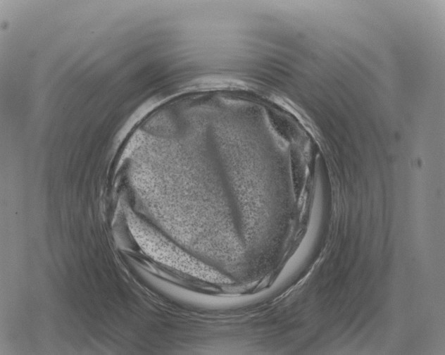 X0000079581465200612221418