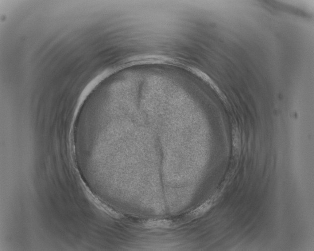 X0000079581466200612221418