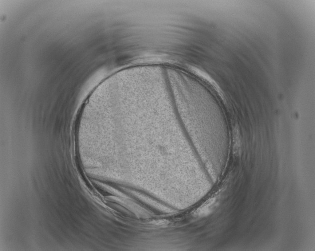 X0000079581467200612221418