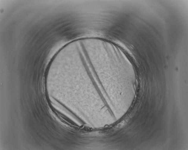 X0000079581468200612221418