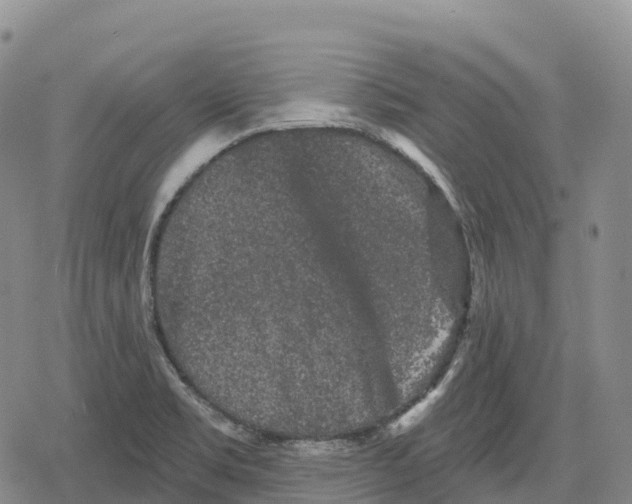 X0000079581469200612221418