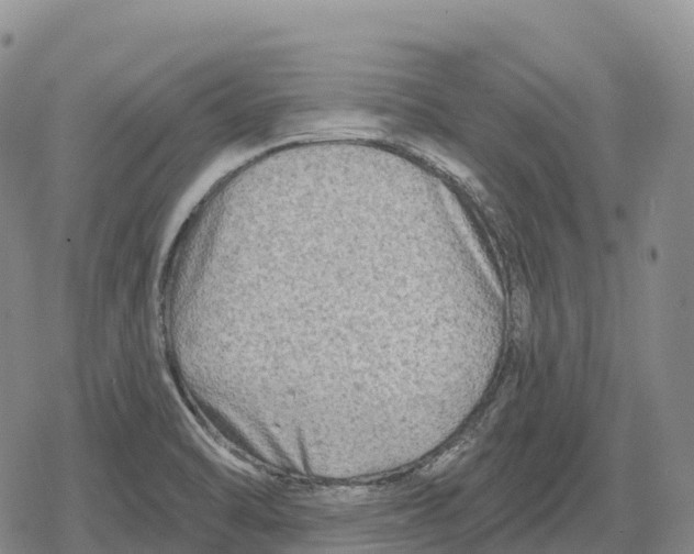 X0000079581470200612221418