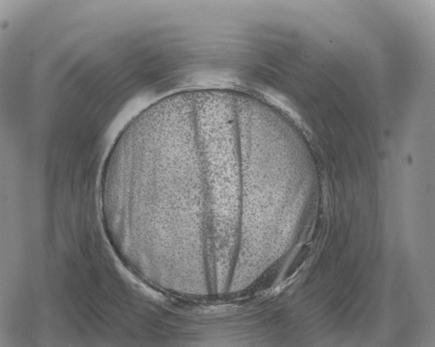 X0000079581471200612221418