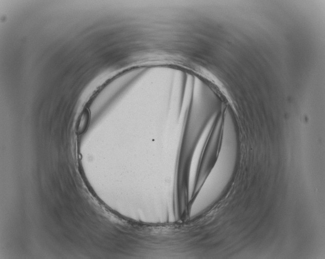 X0000079581472200612221418