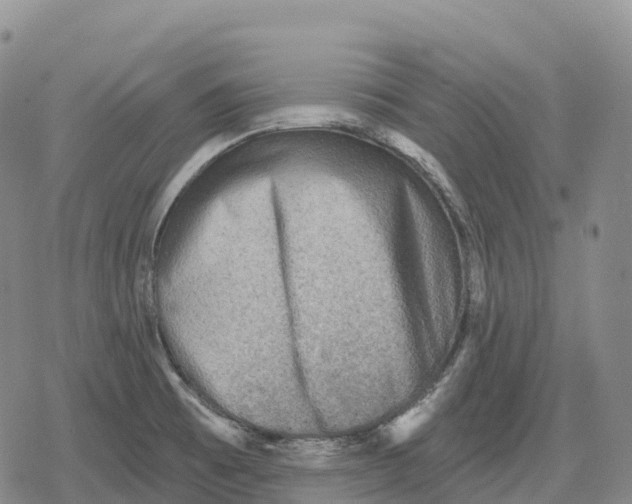 X0000079581473200612221418