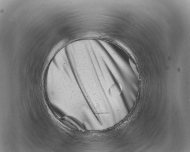 X0000079581475200612221418