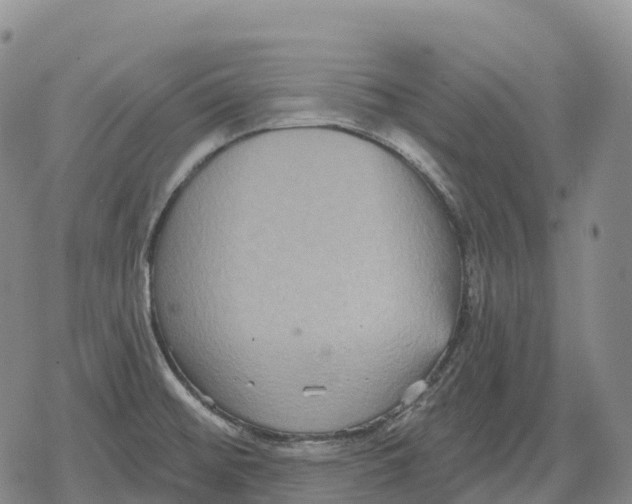 X0000079581476200612221418