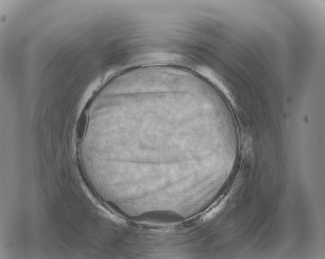 X0000079581477200612221418