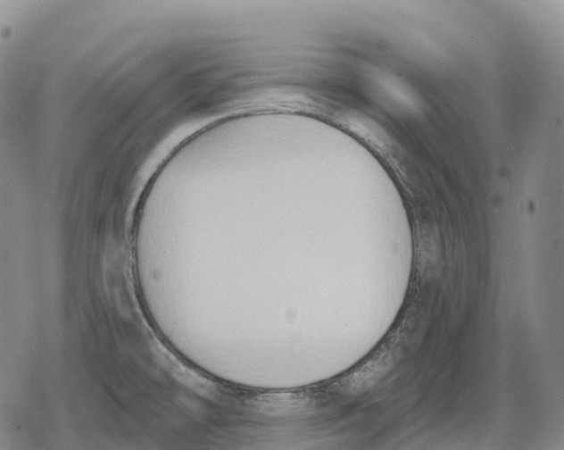 X0000079581478200612221418