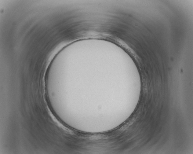 X0000079581479200612221418