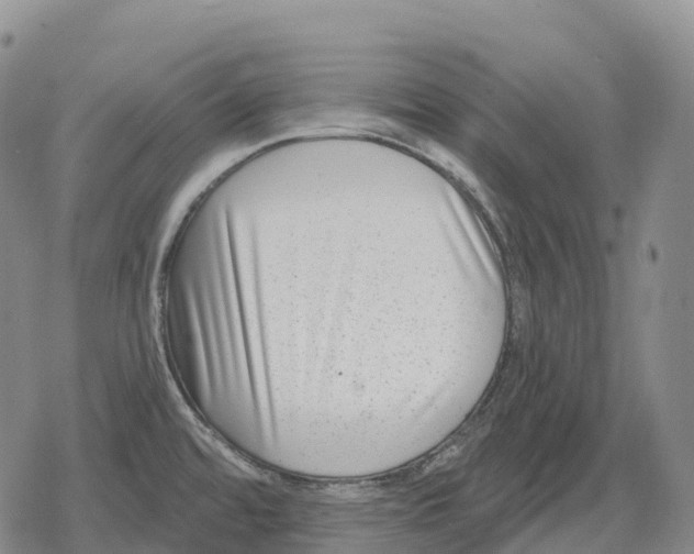 X0000079581480200612221418