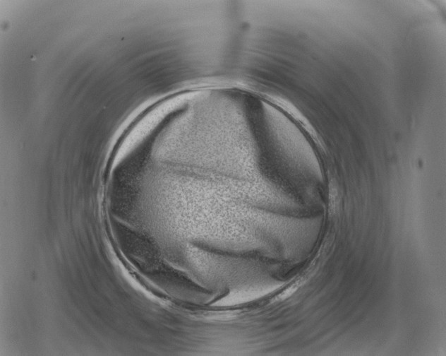 X0000079581484200612221418