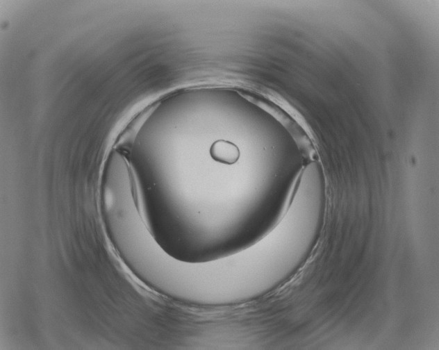 X0000079581485200612221418