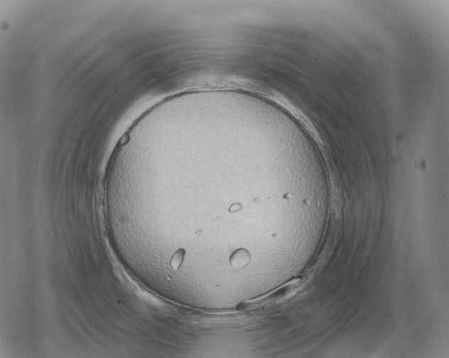 X0000079581486200612221418