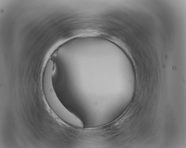 X0000079581488200612221418