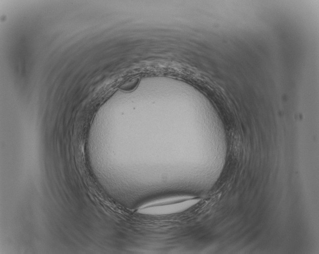 X0000079581489200612221417