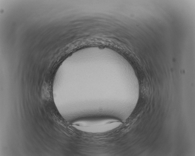 X0000079581490200612221417