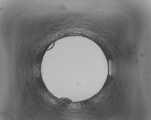 X0000079581491200612221417