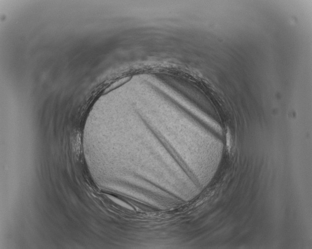 X0000079581492200612221417